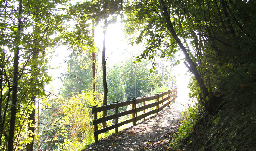Barmherzige Schwestern Innsbruck Hoffnung Trost von guten Maechten wunderbar geborgen covid virus